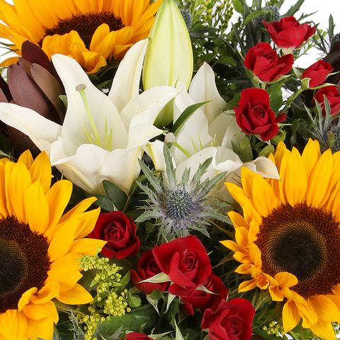 Serenata Flowers – Order Now for FREE delivery Tomorrow.
