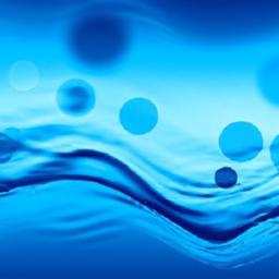 The Ripple Effect of Friend Referrals on Your Benefits